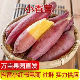 其他水果;梨;哈密瓜