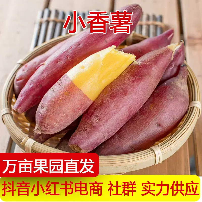 小香薯金手指红薯新鲜挖黄心沙地板栗地瓜番薯糖心红薯香糯生地瓜