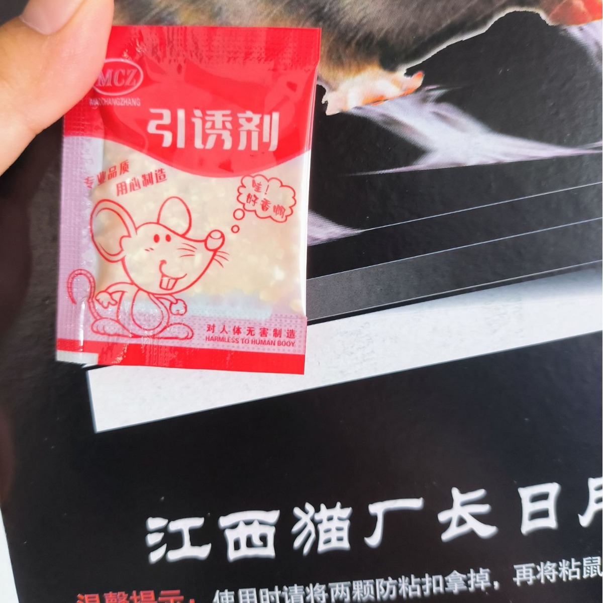 2024-07-26 08:25:08.jpg