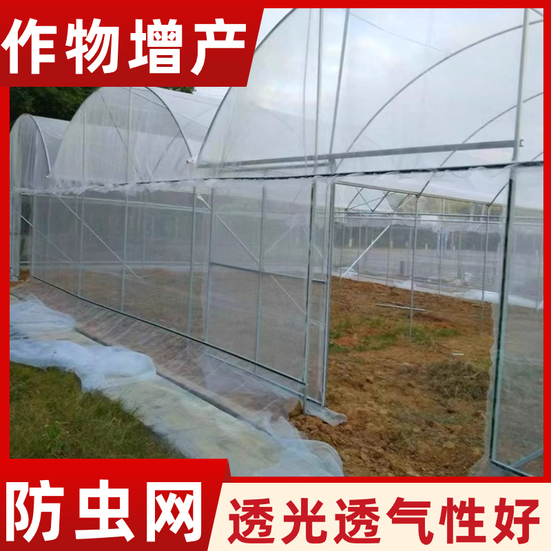 防虫网 黑色蔬菜大棚防虫网 果园温室菜地防虫防鼠防鸟网网袋