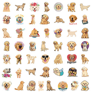 ����ϵС��ë�����N��������Pӛ����X���C�����z���~��ӛ�b��N