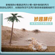 �ľӌ��ø׌���С�����B���ɳз���з�^�p�B����С��з��B�쾰