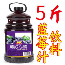 5斤大桶果汁饮料 猕猴桃 蓝莓汁 橙汁芒果汁酸枣汁山楂汁实惠装饮