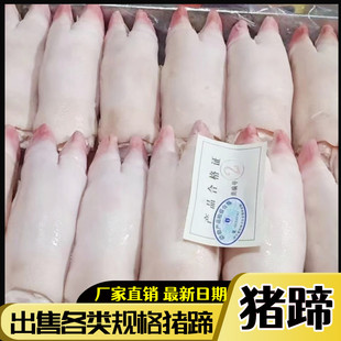 ���r����i�� �����iǰ�� ���i���i���� 20�� ��u��ʳ�� ���]