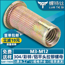 304���P�ƽ�^�Q�y���T��ĸС���^��ĸ僲��\���T��ñM3/M4/M5/M6