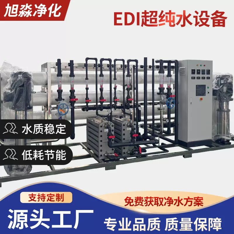 10吨二级反渗透 EDI超纯水设备全自动二级反渗透纯水净水器