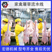 定制全自动家禽屠宰设备 散养鸡屠宰生产线 鸡鸭脱毛烧毛流水线