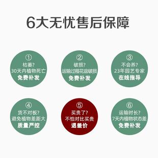 �����Ե����Ϙ��y�����ļ��_�����¹𻨘�������҃ȿ͏d����