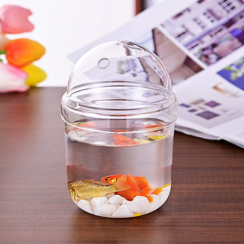 New Hydroponic Plant Bottle Desktop Small Ornaments Lazy Flower Pot High Borosilicate Glass Vase Water Raising Green Pot