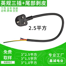 2.5ƽ�����~��о13AӢҎ����AC���^�� β����Ƥ16AӢ���Դ���S��