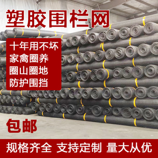 Plastic Fence Net for Chicken Farming, Corn Net, Chicken and Duck Manure Leakage Net, Geogrid, Plastic-Coated Protective Net, Wire Mesh