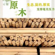 ��ľ�U��֧�μ���ľ�̶�����ľ֧�ܴ��֧�ΗU���L�G��ֱľ�����