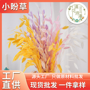 ���������С�βݸɻ�����Ʒdiy����a���Ӽ������b[��Դ�^���S