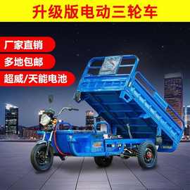 电动三轮车拉货载重王电瓶车农用车摆摊车家用三轮车快递车新国标