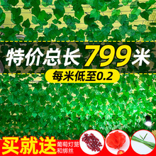 藤条装饰葡萄叶子吊顶遮挡假树叶室内空调管道缠绕绿植物花藤