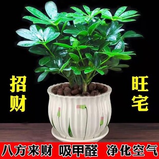 �˷���ؔ�辰���_ľ�ļ������҃��̨����Gֲ���԰lؔ�����~ɏ