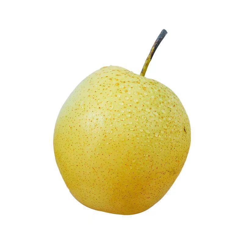 【순중량 1.5kg 】작은 과일은 권장하지 않습니다