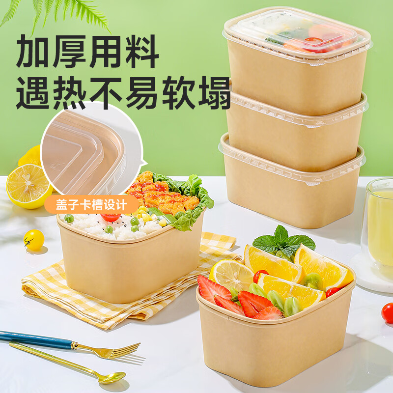 Disposable Lunch Box Rectangular Bowl Camping Style Picnic Box Fruit Box Rounded Corner Lunch Box with Lid Fast Food Takeaway Box