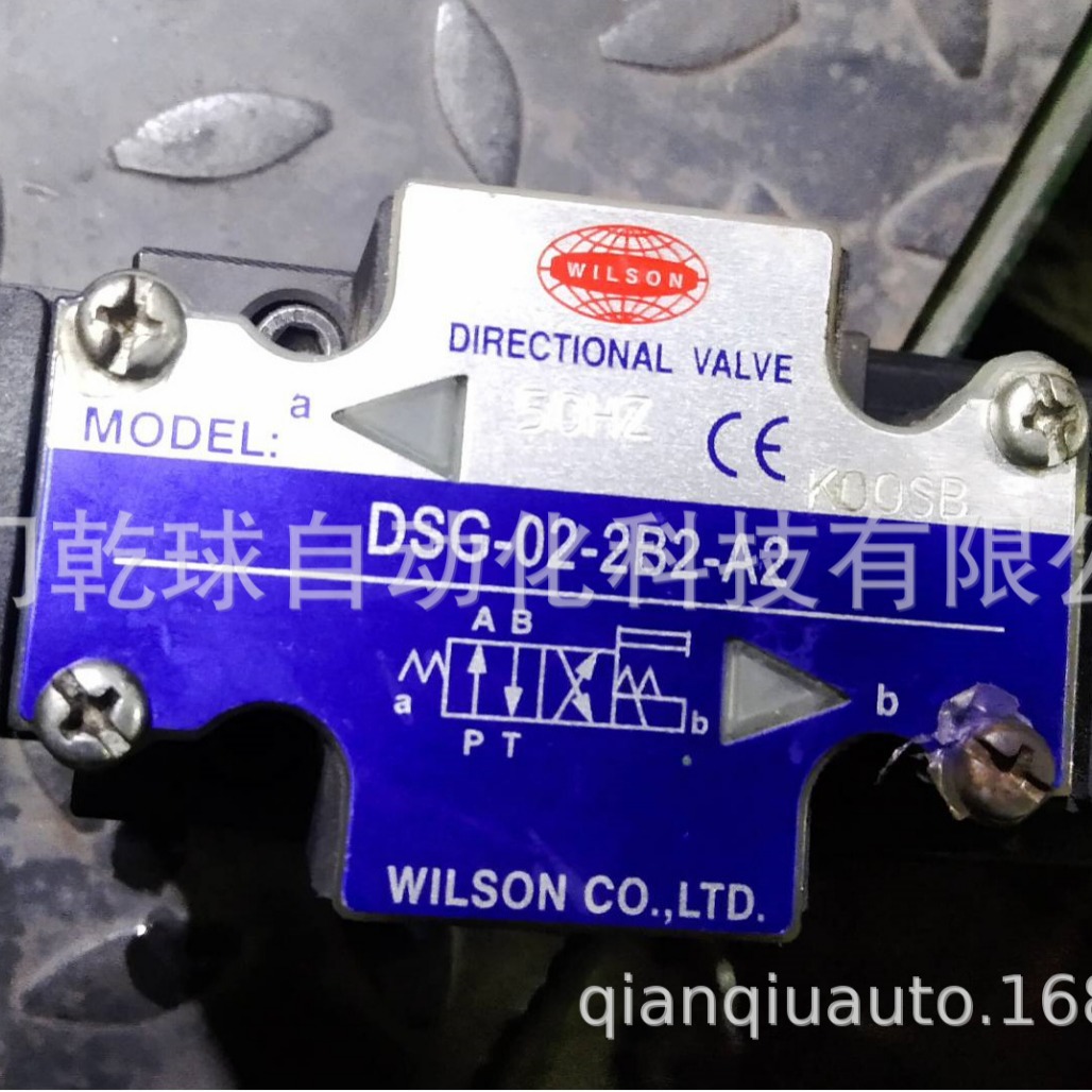 wilson电磁阀,台湾DSG-02-2B60A-AC110V