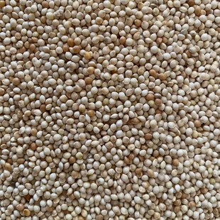 �����ӡ��������Ǹ��N�B��}���С�͌���ϲ�۵���ʳ