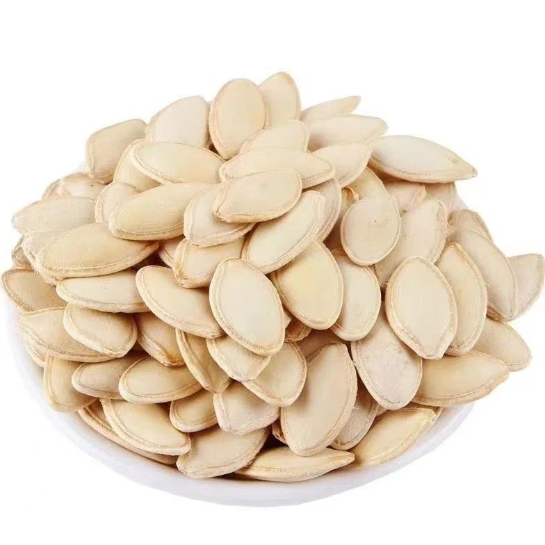 微信图片_20230325151808