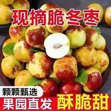 �F؛������󶬗�5������r�����ЋDˮ�����Ǵ����r��������