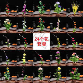 酒店意境菜品冷菜盘饰餐饮刺身摆盘装饰花草创意小摆件寿司点缀花