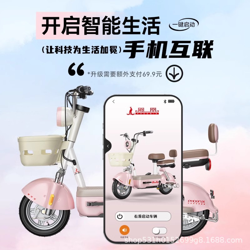 Phoenix2024 nuevo coche de batería para adultos Yuan Cosmos bicicleta eléctrica para trabajar en lugar de coche eléctrico para chicas pequeñas