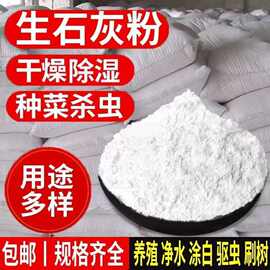 生石灰厂家直发石灰粉养花种菜杀虫改良土壤防潮防虫氧化钙绿植