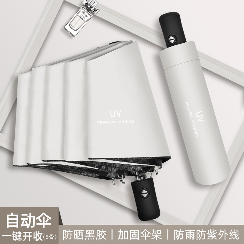 오프화이트 8본 전자동