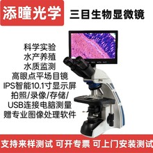 Ŀ߱@΢RUSB唵a@ʾɎŴwʽֳ