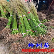 ������������������G����·��߅�S���������B���s�������