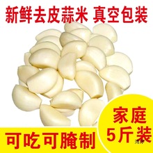 ȥƤ2023ɽ|lȥƤFFlr1/3/5