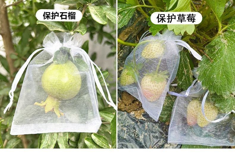 db792d1e-f8e5-4911-ba0b-b9df2bc7cdea.jpe