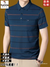 ��ľ�B����t����ʿ2026�¿��������e���IPOLO������