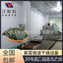紫菜微波干燥设备 隧道式海苔烘干机 海带脱水设备