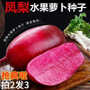 �߲˷N���P���}���N�����ˮ���tƤ�t���}���N���߲˷N���̨����