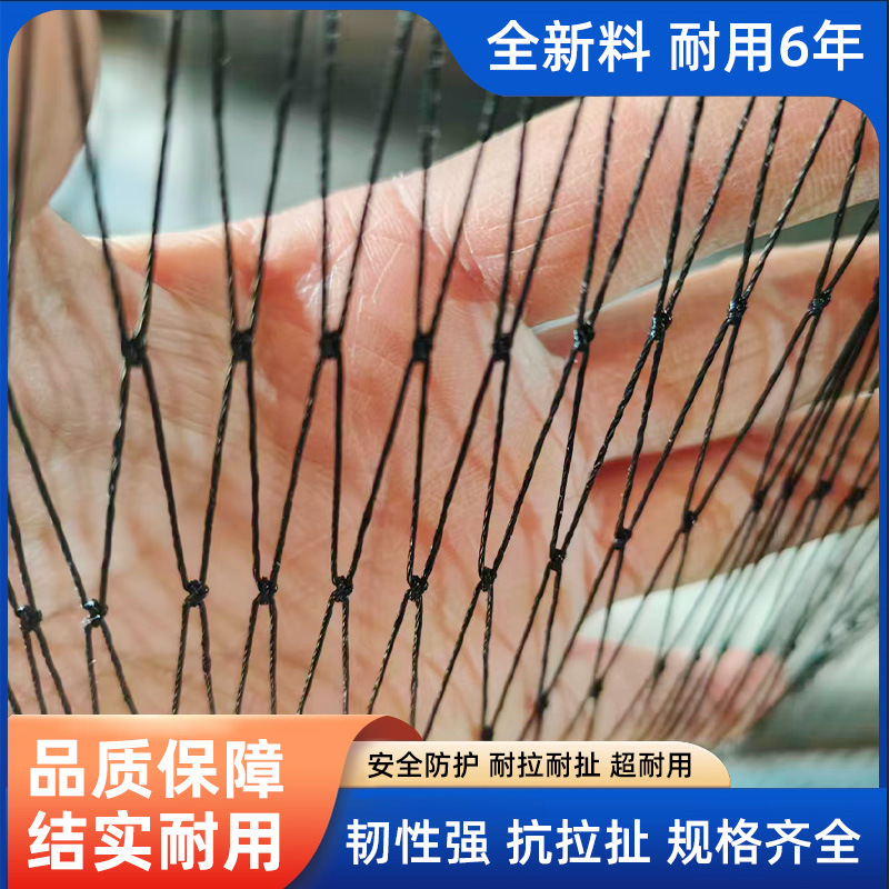 PE防鸟网黑色果园加粗加厚网养殖大棚网跨境爬藤网防护网孔防冰雹