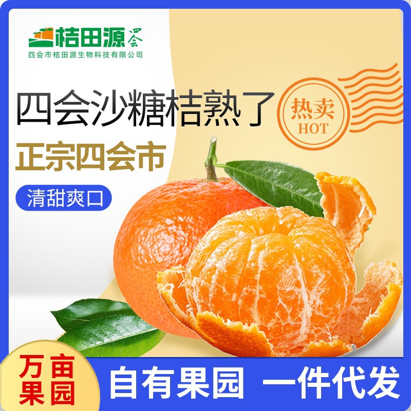 四会砂糖橘汁当季新鲜水果沙糖蜜桔无核桔甜橘子整箱特级广东产地