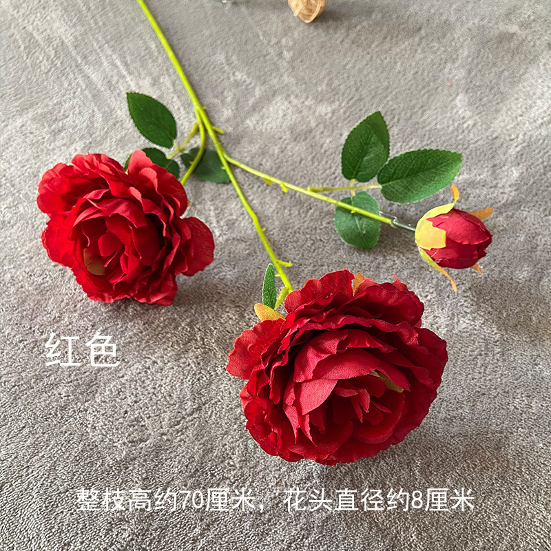 3 Foreign peonies-Big Red