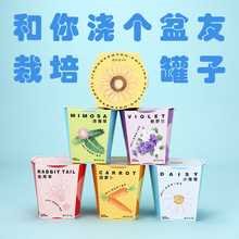 迦农会幼儿园diy 儿童种植物小盆栽罐头花卉植物观察学生创意桌面