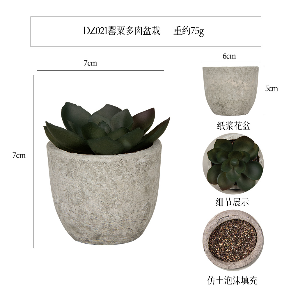 Más de 100 estilos de macetas de pulpa de papel vintage con plantas suculentas simuladas, pequeños adornos populares de estilo jardín para decoración del hogar transfronteriza. image 47