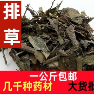 ���Ų� ������Ųݶ������Ų��Ų� �Ų�һ������]