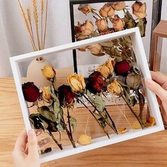 乾花相框中空diy畫框掛牆收納框擺台雙面透明相框