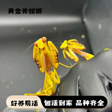 ����������A������m�����x��ͯ�Y���^������ȫ����