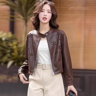 2026��������e�ع��U�ջ���̽��d��Ƥ���͹���ɫƤ������Ů