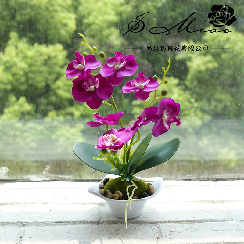 Nueva Phalaenopsis Bonsai de tres horquillas flor artificial decoración creativa Planta artificial suministro directo de fábrica de una sola pieza entrega image 8