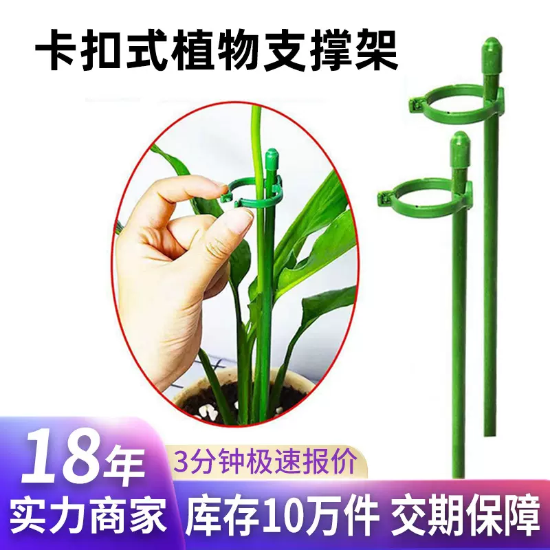 盆栽造型扶直园艺支架爬藤支撑杆子蝴蝶兰防倒伏卡扣式植物支撑杆