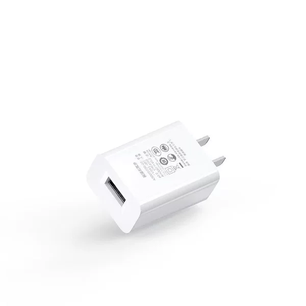 5V1A charger is for domestic use only