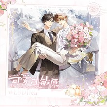 正版  花火  可爱过敏原雪山誓言/公开吧唧/镭射票等周边